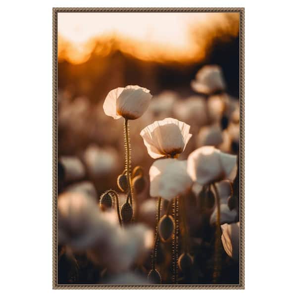 Amanti Art "White Poppy Field No 2" by Treechild 1-Piece Floater Frame Giclee Nature Canvas Art Print 33 in. x 23 in.