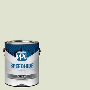1 gal. PPG1122-2 Lime Wash Flat Exterior Paint