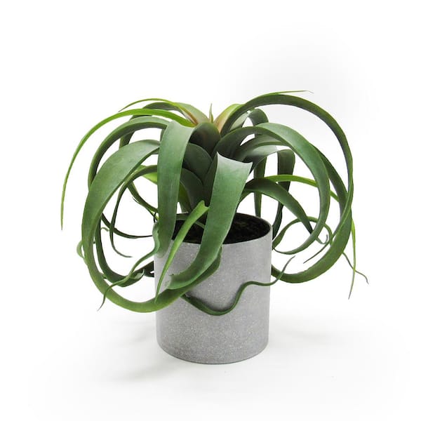 LIVING LUXURY 9 in. Large Green Red Artificial Tillandsia Succulent Plant in Grey Pot