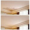 Homax Popcorn Ceiling Texture, 14oz 3 Pack Homax Popcorn Ceiling Texture, 14oz 3 Pack