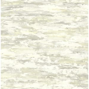Seabrook Designs Atelier Stucco Metallic Champagne and Grey Paper ...