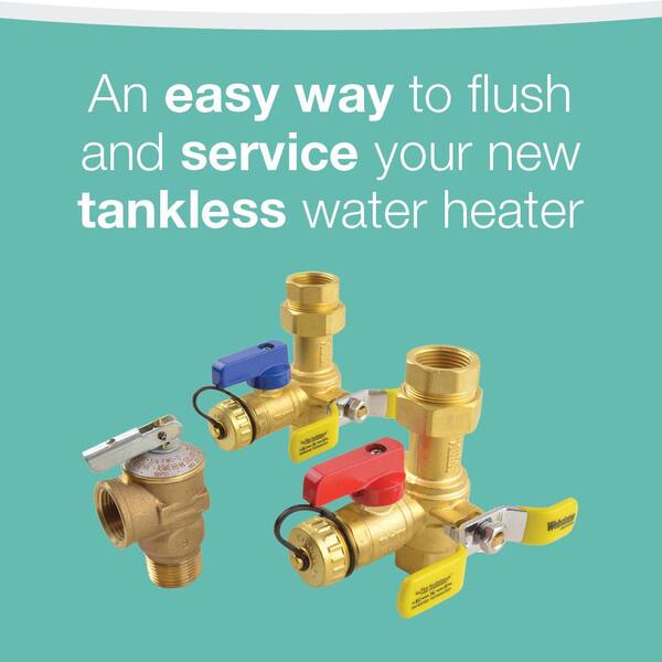 Rheem Performance Platinum 9.5 GPM Natural Gas High Efficiency Indoor Tankless  Water Heater with Brass Service Valves Bundle ECOH200DVLN-2BSV - The Home  Depot