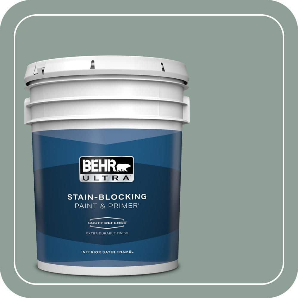 5 gal. #QE-44 Eucalyptus Extra Durable Satin Enamel Interior Paint & Primer price history on PriceWatchPro