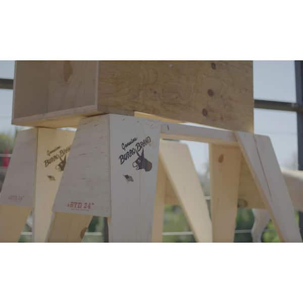 Burro Brand 24 in. Contractor Sawhorse HDS - The Home Depot