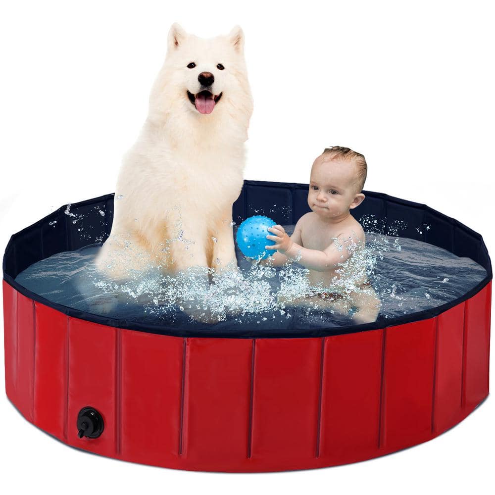 Pet Cat and Dog Spa Machine Milk Bath Bath Bathtub Swimming Tank Big and  Small Dogs Swimming Bath Pool