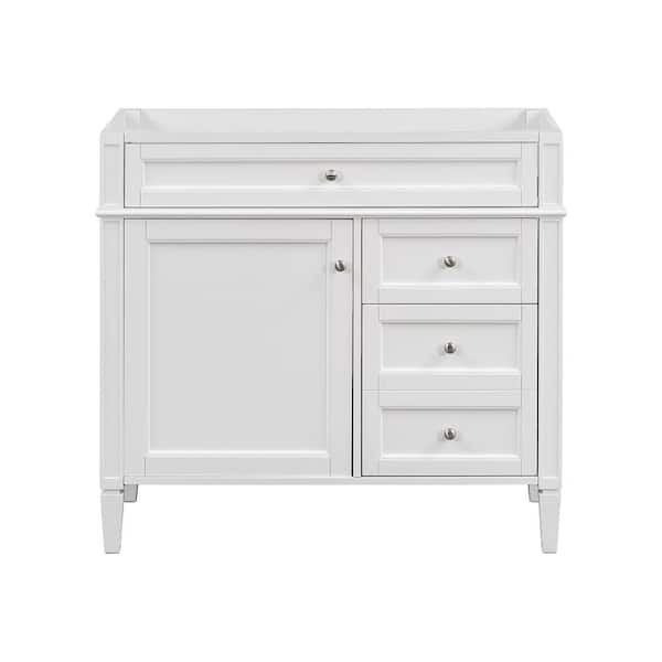 Adrinfly 36 in. W x 18 in. D x 33 in. H Bath Vanity Cabinet without Top in White with 2 Drawers & Tip-Out Drawer (Cabinet Only)