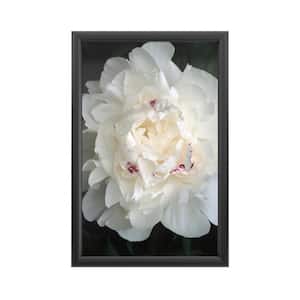 "Perfect Peony" by Kurt Shaffer Framed with LED Light Landscape Wall Art 24 in. x 16 in.
