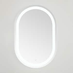 Crosby 24 in. W x 36 in. H Aluminum Oval Modern Silver/White LED Wall Mirror