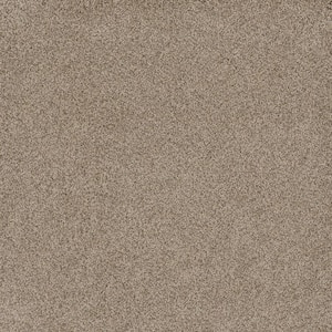 Jack Bay I - Paradise - Beige 48 oz. SD Polyester Texture Installed Carpet