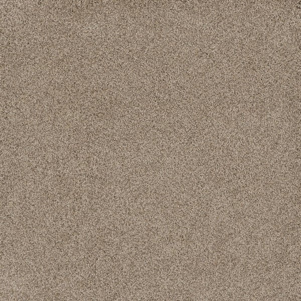 Home Decorators Collection Jack Bay I - Paradise - Beige 48 oz. SD Polyester Texture Installed Carpet