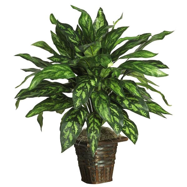 Nearly Natural 31 in. Artificial Silver King with Basket Silk Plant