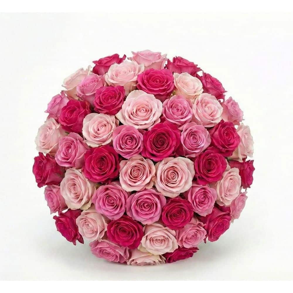 FLORAVAS 50-Stem Rainbow Roses-Shades of Pink Multicolor Rose Mix