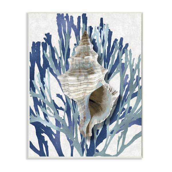 Stupell Industries "Tower Shell Coral Blue Beach Design" by Caroline Kelly Unframed Nature Wood Wall Art Print 13 in. x 19 in.