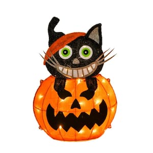 Pre-Lit Halloween Pumpkin and Black Cat