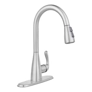 Carla Single-Handle Pull-Down Sprayer Kitchen Faucet in Stainless Steel