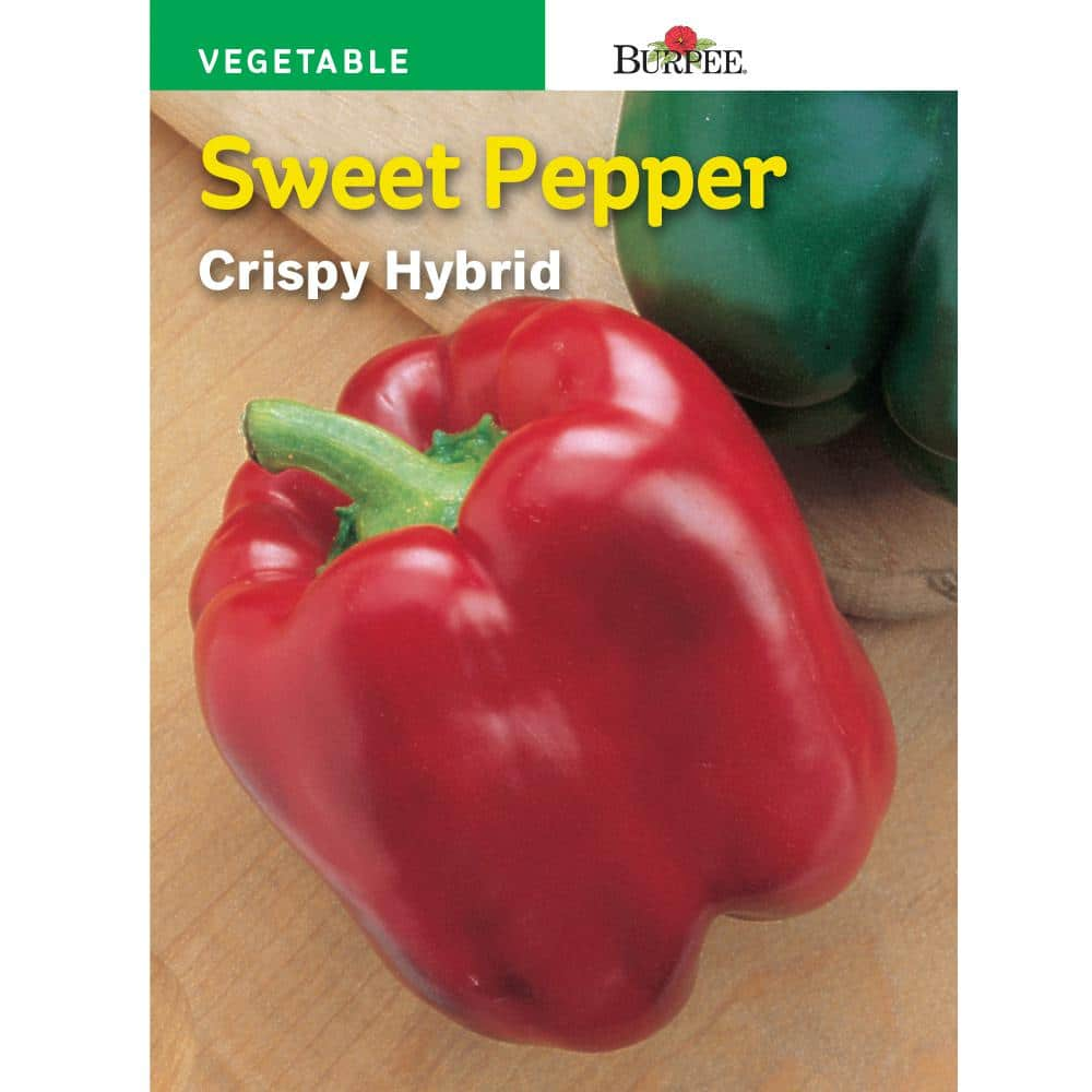 Burpee Pepper Sweet Crispy Hybrid Seed 66787 - The Home Depot