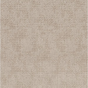 Elegant Dosinia - Sand Dune - Brown 48.8 oz. Nylon Pattern Installed Carpet