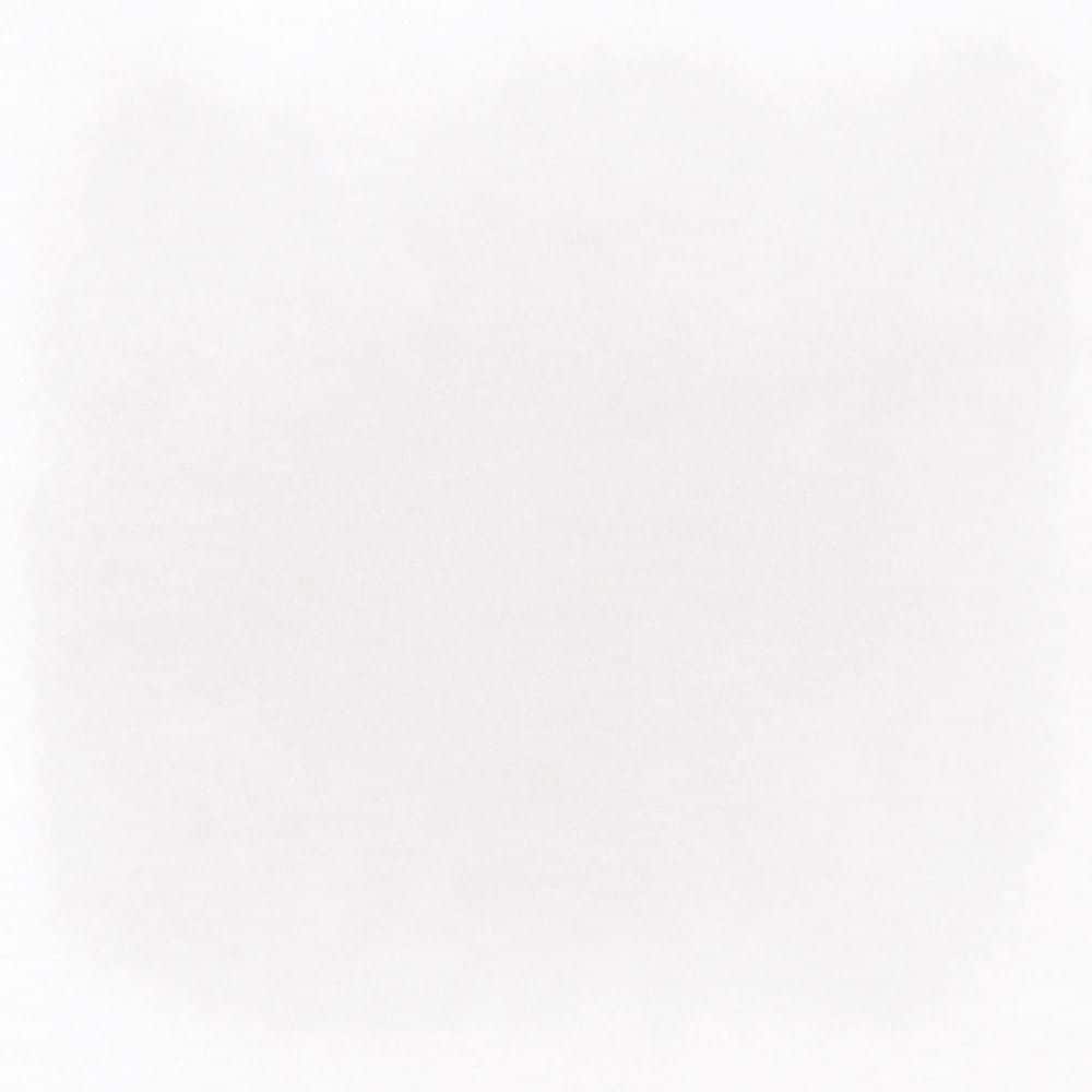 Taj White Glossy Glazed Ceramic Wall Tile, 5 in. x 5 in. (5.38 sq. ft./Case) price history on PriceWatchPro