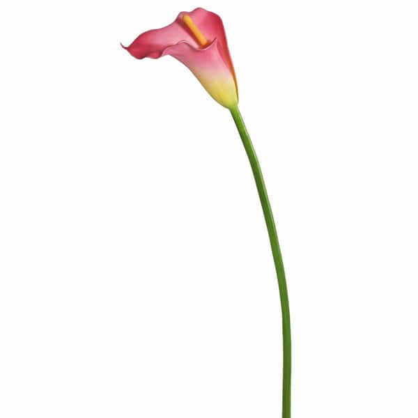 Vickerman 28 in. Artificial Pink Large Stem Calla Lily