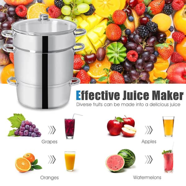 ZQRPCA 11-Quart Steam Juicer Stainless Steel, Steamer Extractor Pot for  Fruit Vegetable Canning with Tempered Glass Lid, Hose, Clamp, Loop Handles,  Silver 