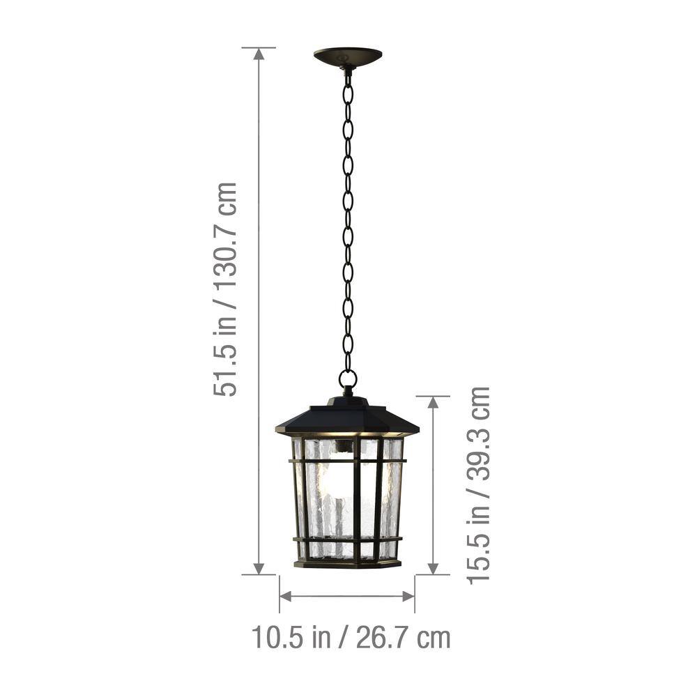 Williams Matte Black LED Outdoor Hanging Lantern with Clear Glass