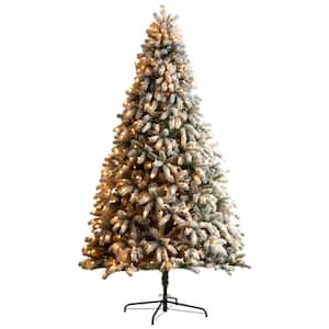9 ft. Flocked South Carolina Spruce Artificial Christmas Tree with 850 Clear Lights and 2329 Bendable Branches