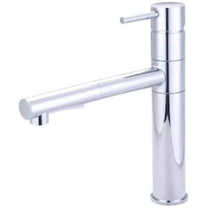 Single-Handle Pull Out Sprayer Kitchen Faucet Deckplate Included in Polished Chrome
