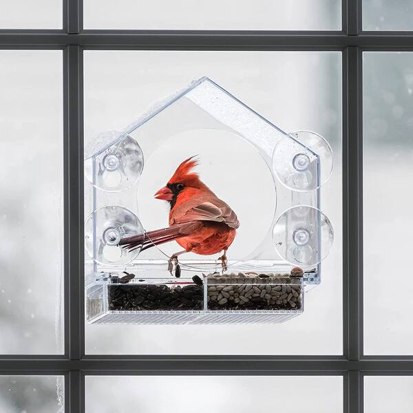 Clear Plastic Window Bird Feeder for Outside - Clear Window Bird