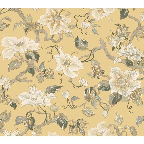 Marguerite Vine Yellow Wallpaper