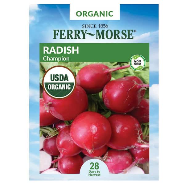 Organic Radish Champion Vegetable Seed