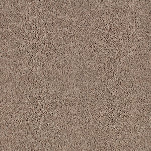 Lifeproof with Petproof Technology Barx II - Neutral - Beige 56 oz. Triexta  Texture Installed Carpet 0778D-26-12 - The Home Depot