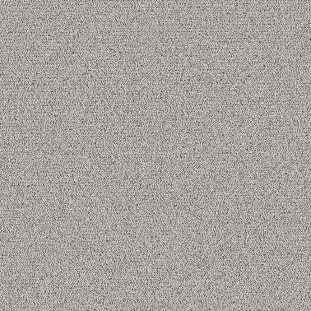 8 in. x 8 in. Pattern Carpet Sample - Poppy -Color Aspen Silver price history on PriceWatchPro