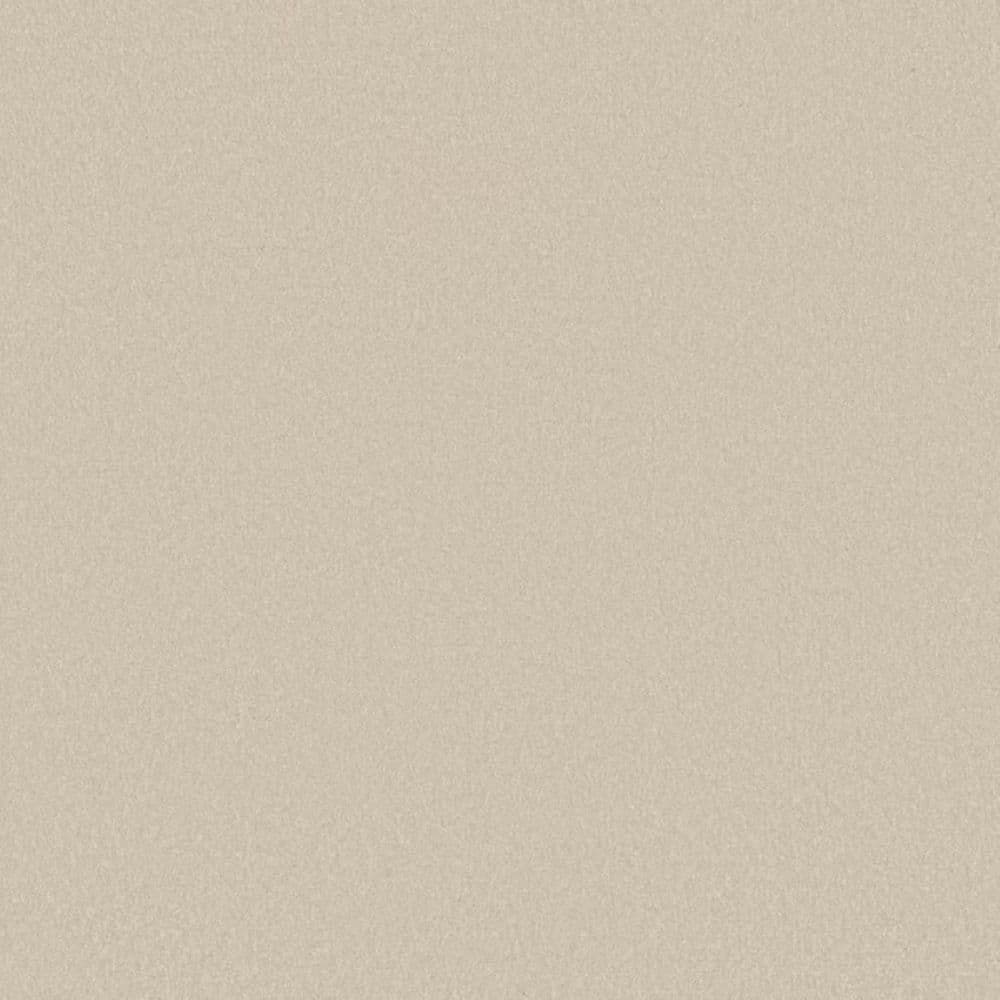 8 in. x 8 in. Texture Carpet Sample-Park Royal II-Color Snow Cream price history on PriceWatchPro