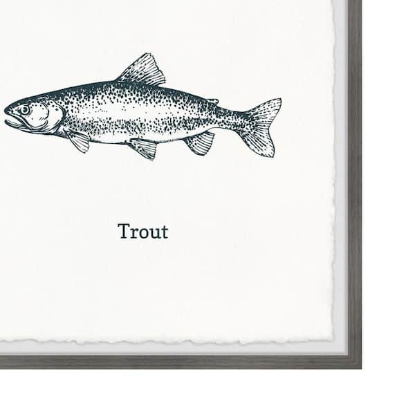 Trout in White by Marmont Hill Framed Animal Art Print 18 in. x