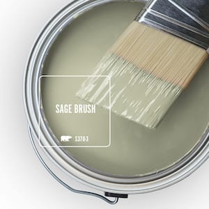 S370-3 Sage Brush Paint