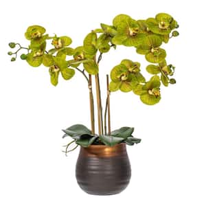 22 in. Green Artificial Phalaenopsis Other Floral Arrangement in Pot