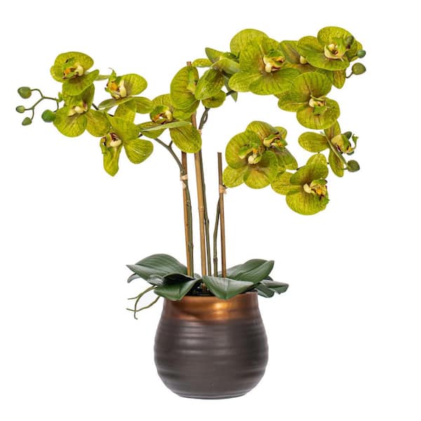 Vickerman 22 in. Green Artificial Phalaenopsis Other Floral Arrangement in Pot
