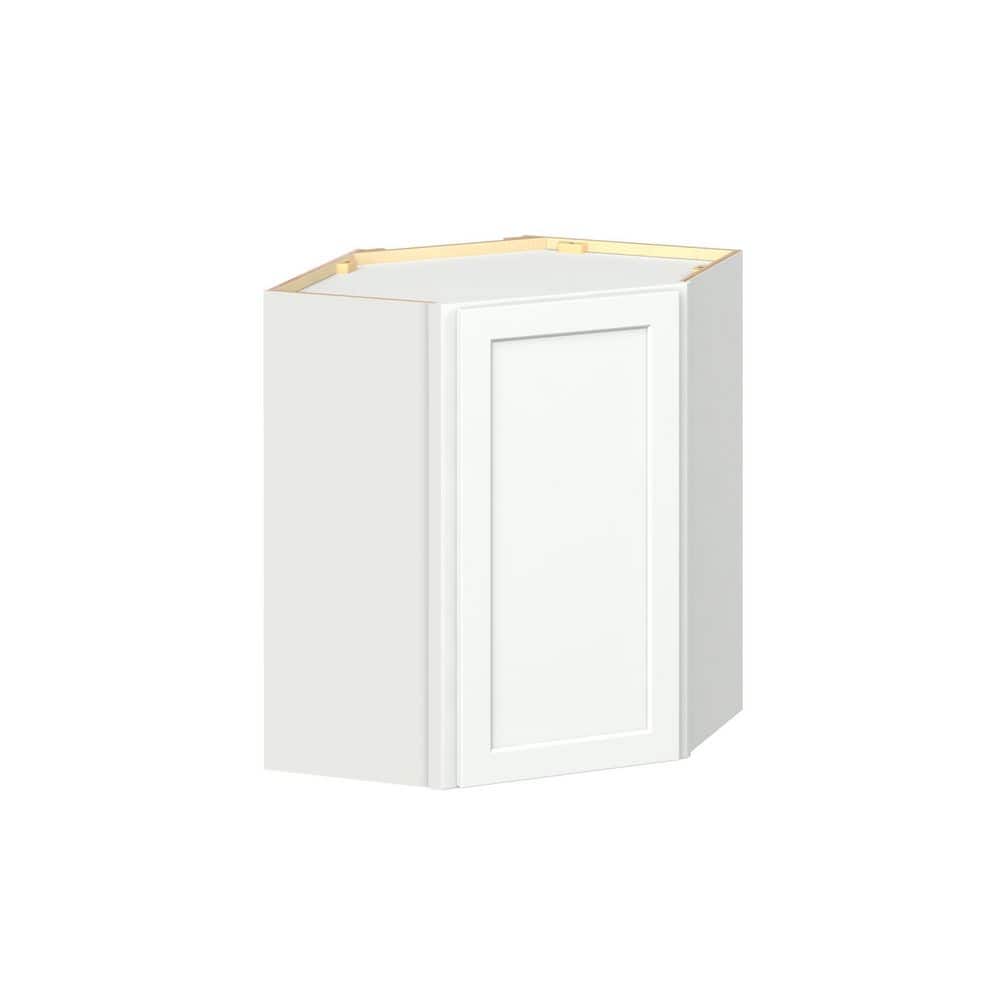 Emerson Pure White Wall Diagnal Corner Ready to Assemble Kitchen Cabinet (24 in. W x 30 in. H x 24 in. D) price history on PriceWatchPro