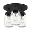 matte-black-dsi-lighting-flush-mount-ceiling-lights-ds19250-c3.1
