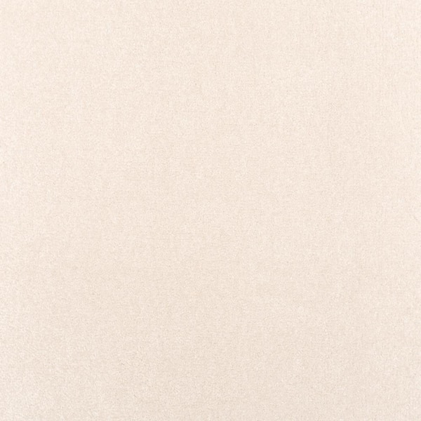 Lifeproof with Petproof Technology Waking Up I Soft- Beige 37 oz. Triexta Textured Installed Carpet