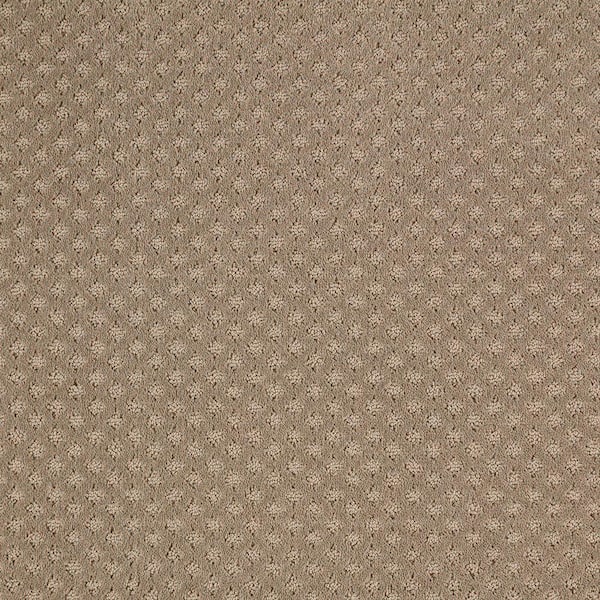 Lifeproof with Petproof Technology Transcends Time Tender Moment Beige 39 oz. Triexta Pattern Installed Carpet
