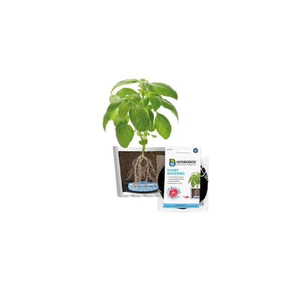 Unbranded Hydrobox - 4.7 in. Smart Plant Watering, HDPE, PES