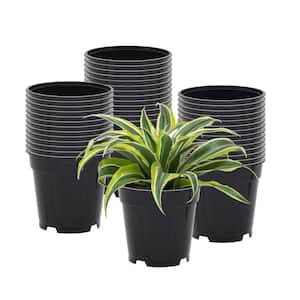 4 in. Black Plastic Standard Grow Pot (100-Pack)
