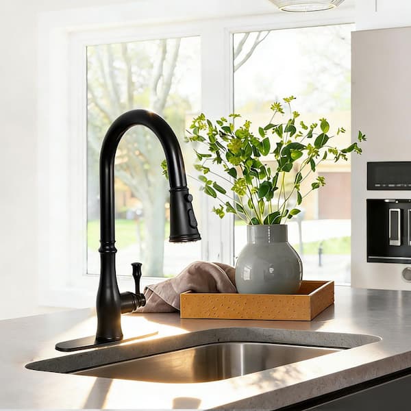 Akicon Black 18.19 in. H Single-Handle Pull-Down Sprayer Kitchen Faucet with 360° Spout Swivel