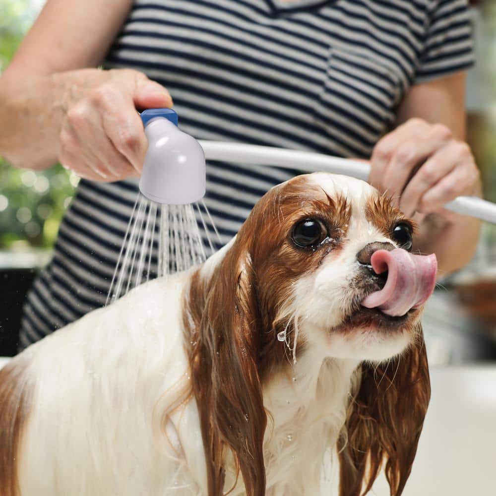 White Plastic Handheld Kitchen Faucet Sprayer with 3-ft Hose