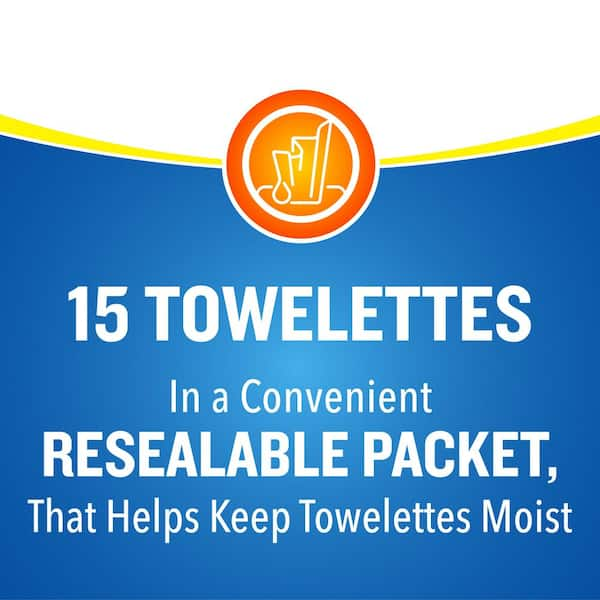 Mosquito and Insect Repellent Wipes (15-Count)