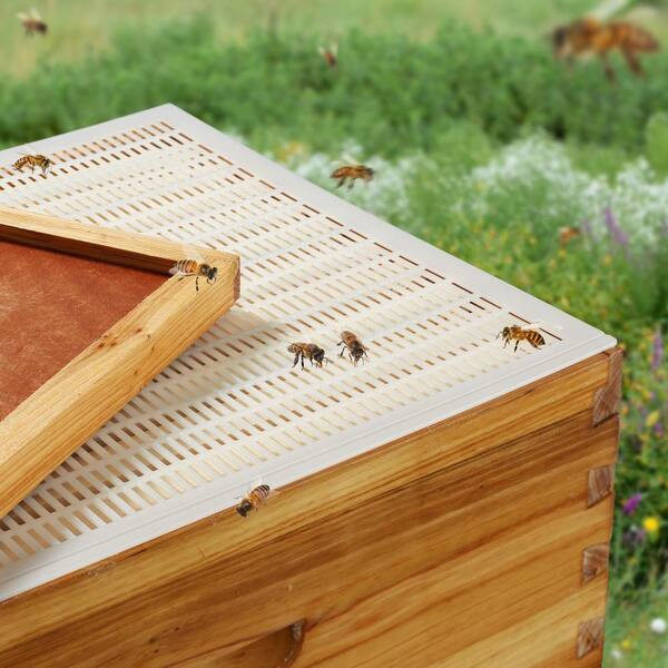 Honey Keeper Honey Strainer Double Sieve #304 Stainless Steel Beekeeping  Equipment Mesh Filter Screen