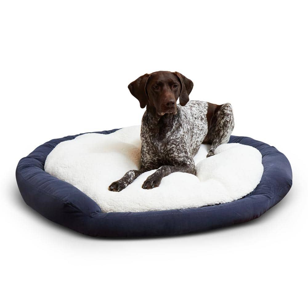 Happy Hounds Casey Large Rectangle Indoor/Outdoor Navy Dog Bed DB160L-NAVY  - The Home Depot