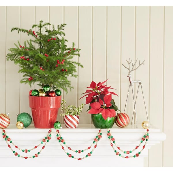 Costa Farms Fresh Norfolk Island Pine In 6 In Grower Pot 18 In To In Tall With Decor Planter And Decorations Co Ar06 3 Niptin