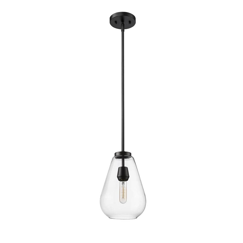 Ayra Matte Black and Nickel Glass Pendant Light